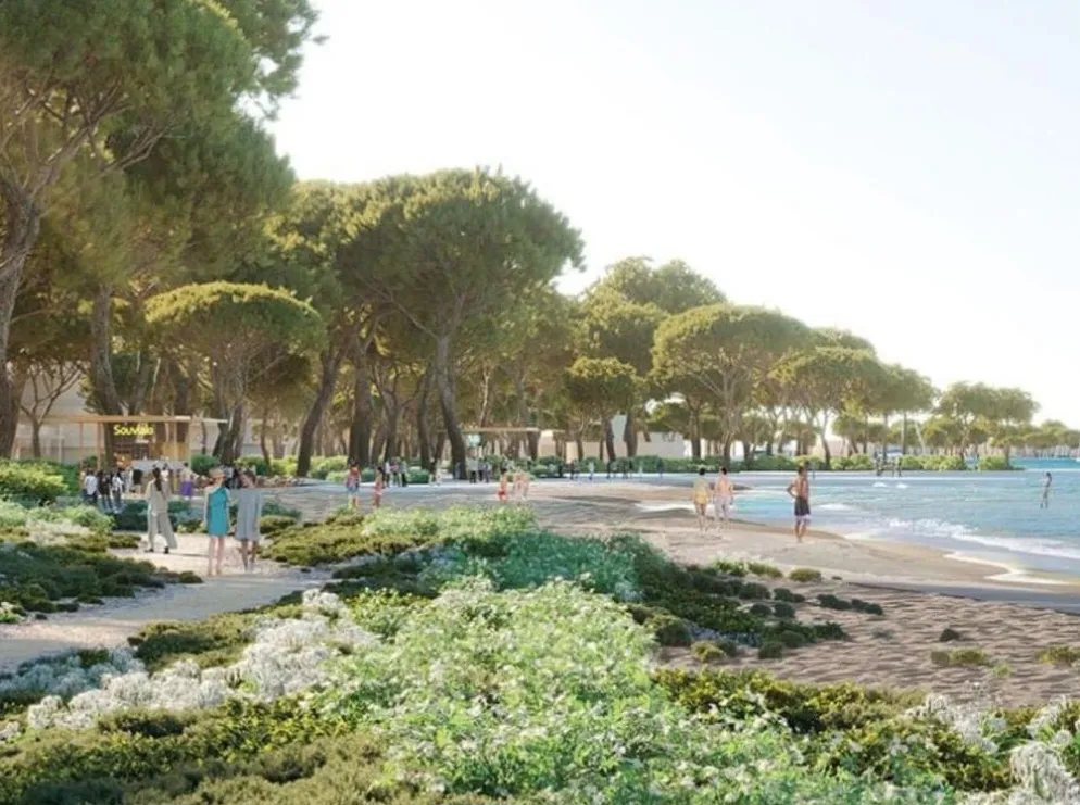 Carisa Horizons Business