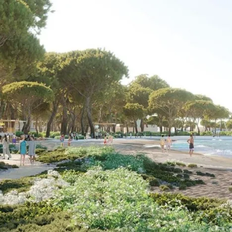 Carisa Horizons Business