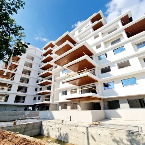 Plus 21 Roy Terraces