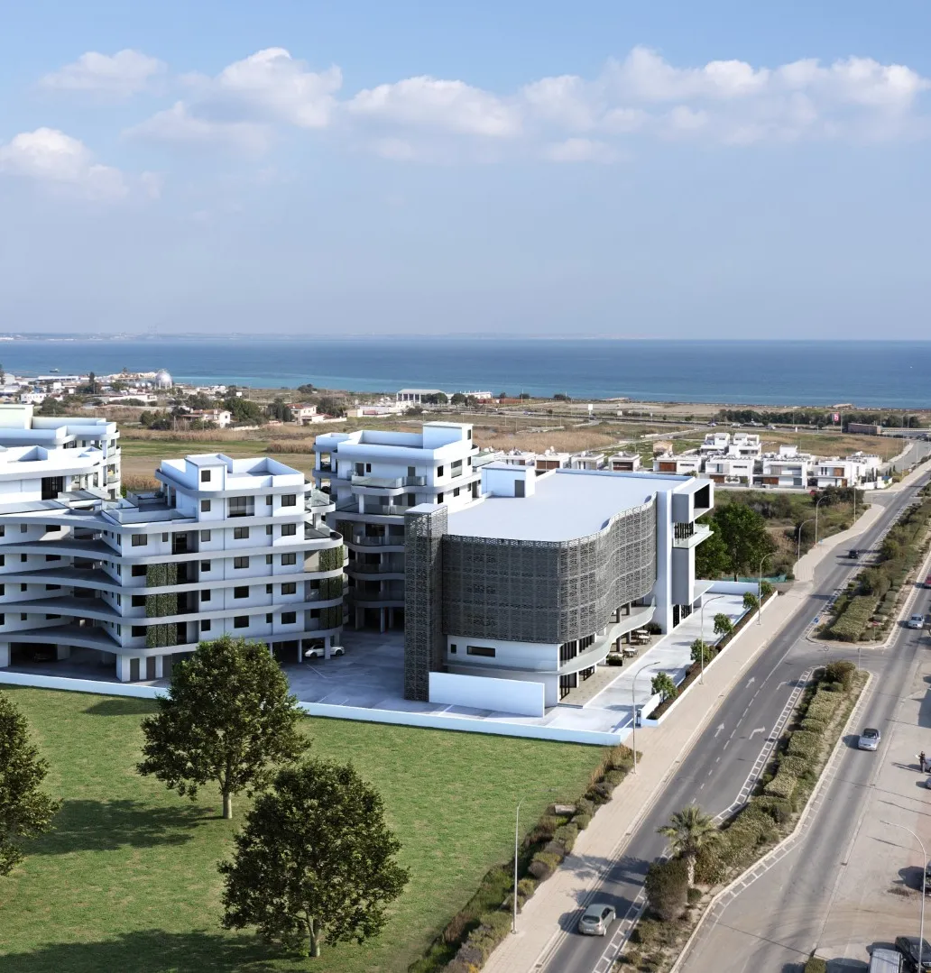 Carisa Horizons Business