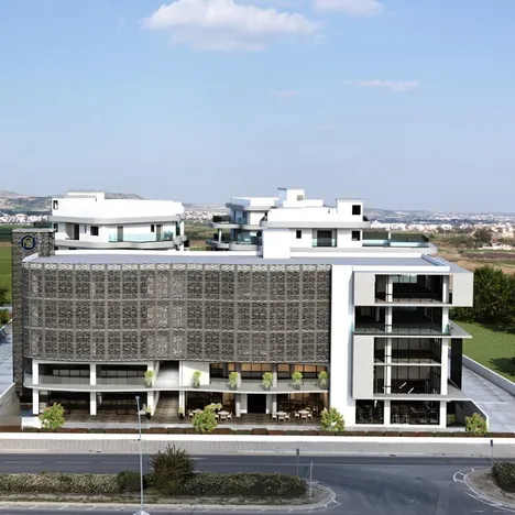 Carisa Horizons Business