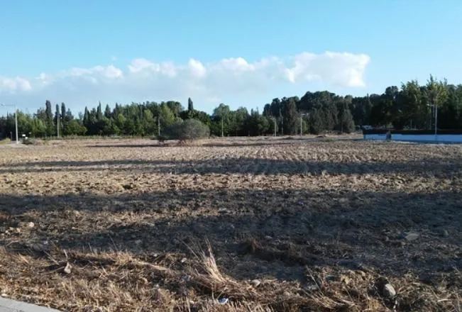 Strovolos Eleonon Gardens