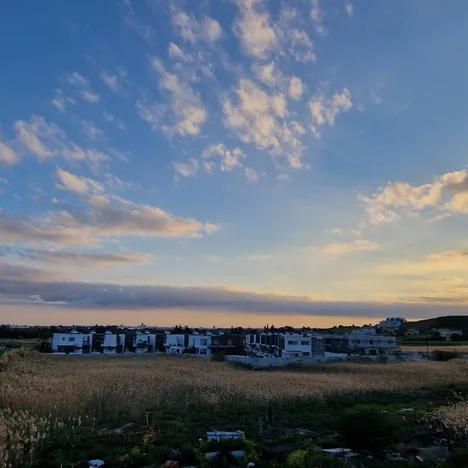 Carisa Olivea Resort & Homes