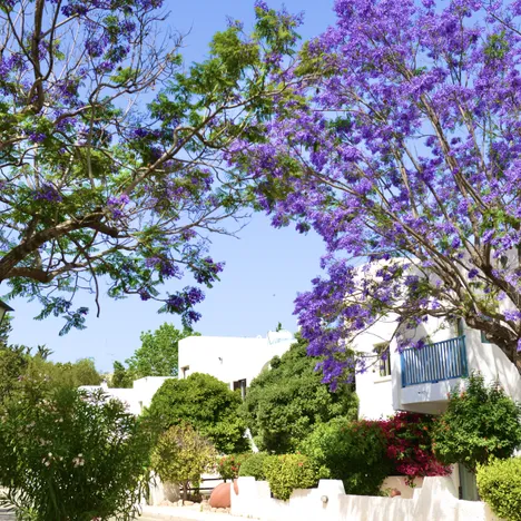 Paphos Gardens