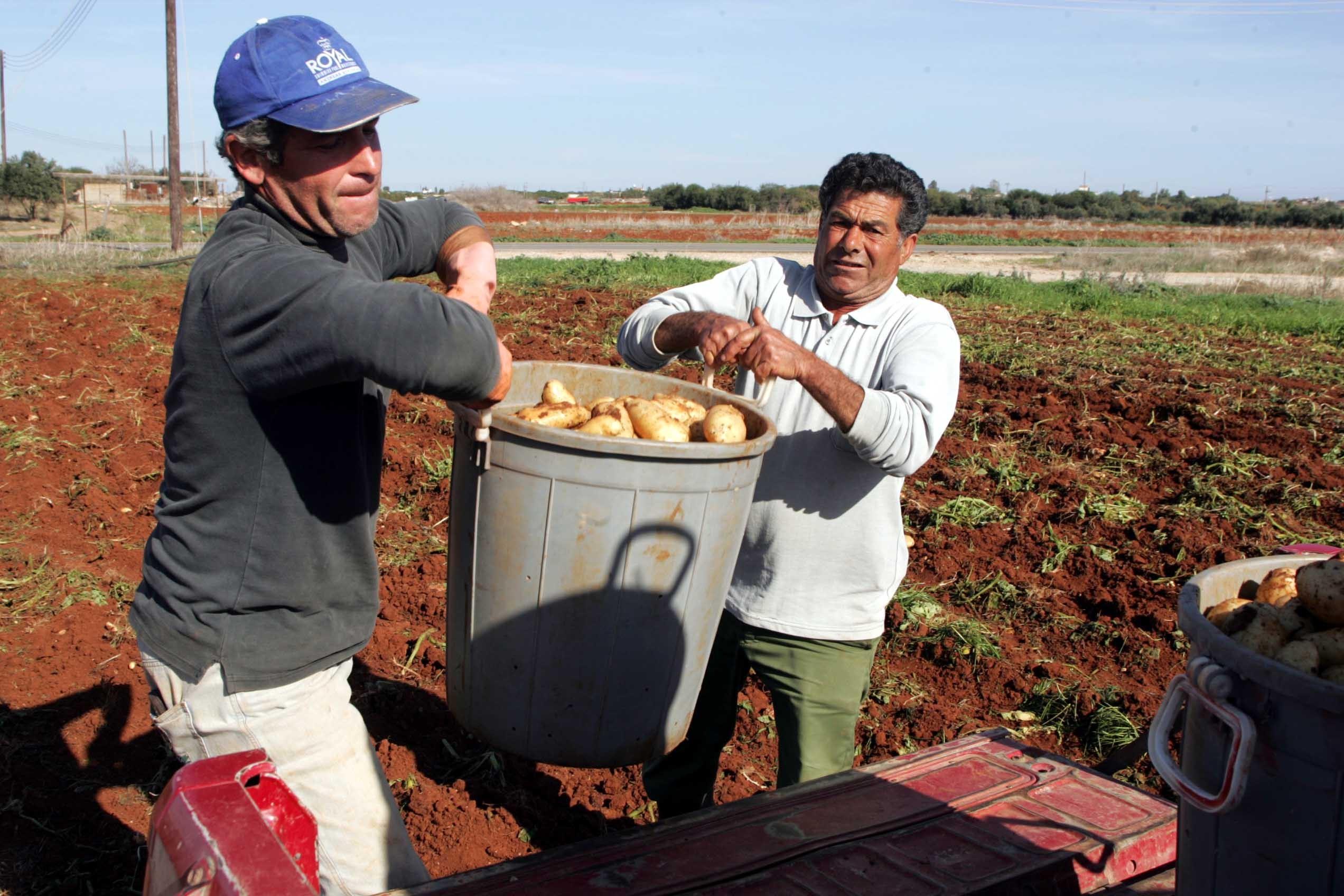 Киприоты будут застраивать территорию британских баз в Акротири и Декелии 