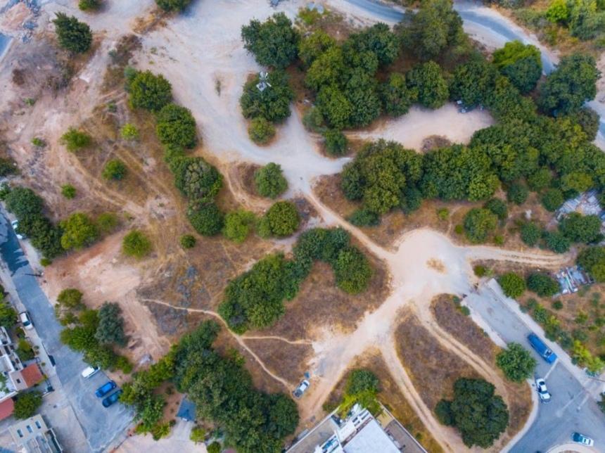 Муниципалитет Пафоса приступает к реализации крупномасштабного проекта – «Парк цветов»