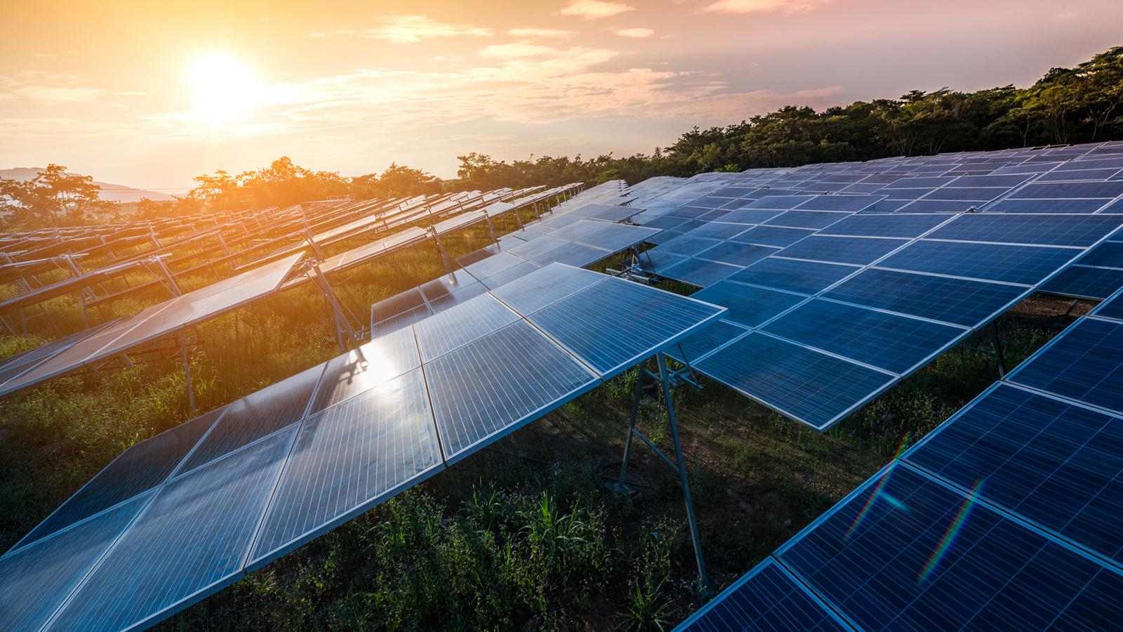 В Ларнаке построят новый фотоэлектрический парк