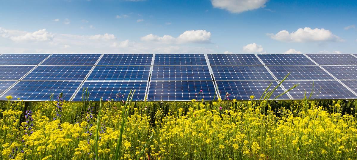 В районе Лимассола хотят построить крупномасштабный фотоэлектрический парк