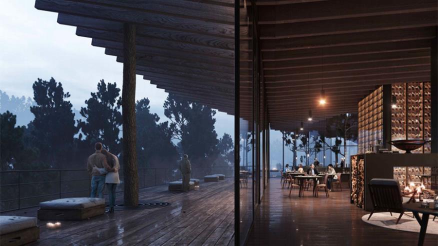The Tree Hotel: среди сосен и кедров Платреса построят необычный ретрит-отель